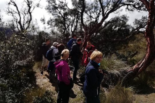 Tour image 6