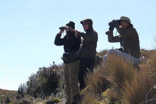 Tour image 2