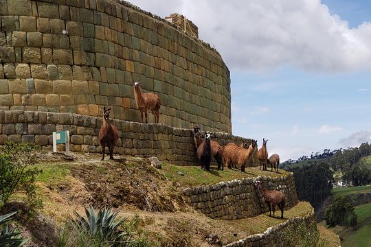 Tour image 4