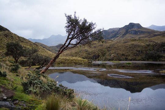 Tour image 6