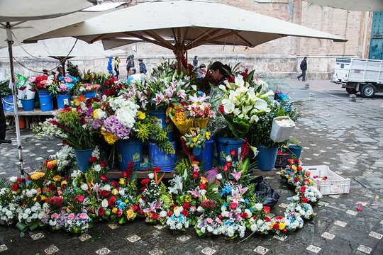 Tour image 5