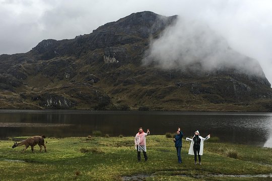 Tour image 11