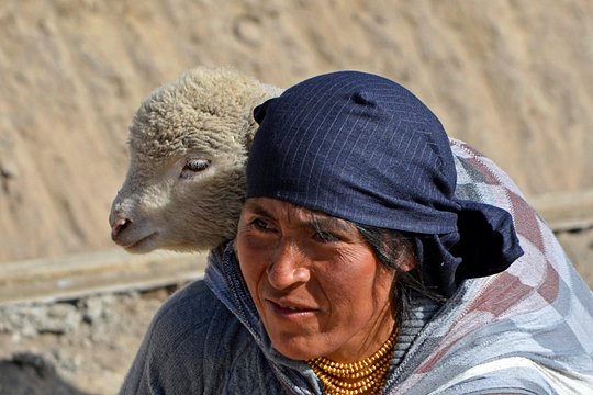 Tour image 2