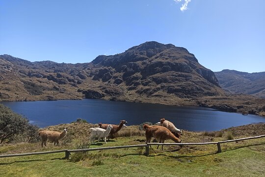 Tour image 10