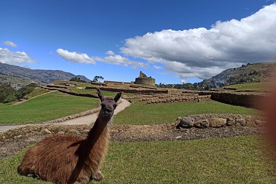 Tour image 3