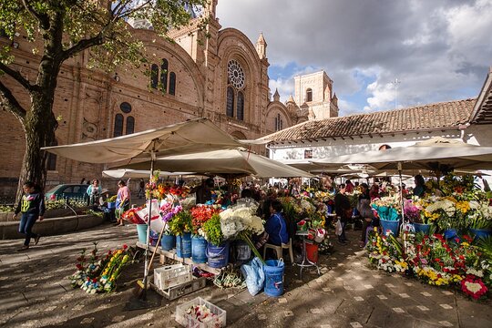 Tour image 7