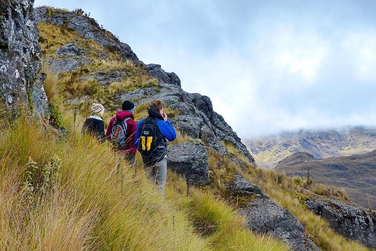 Tour image 5
